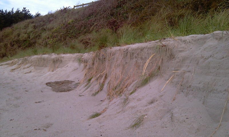 Sable-aux-dunes-1.jpg