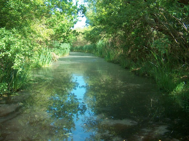 Images/marais.jpg