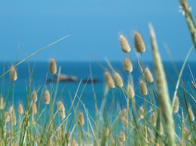 Images/plage1.jpg