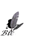 bienvenue.gif